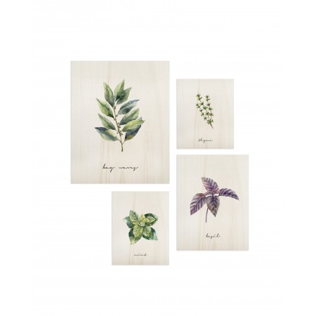 Pack de cuadros Plants