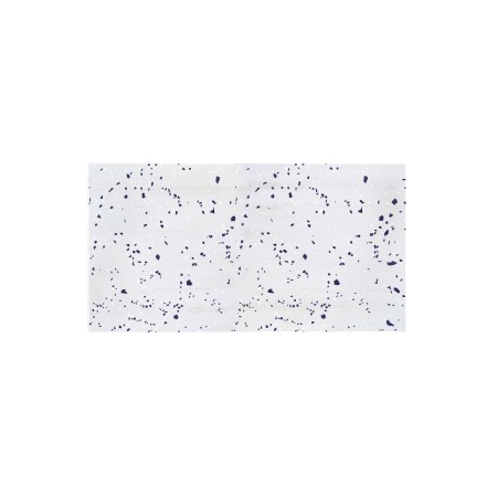 Cabecero decapado Terrazzo White