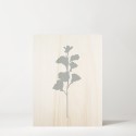 Cuadro de madera Blue Plant I